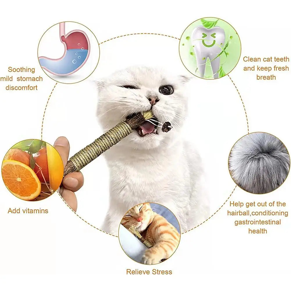 🐱 Natural Cat Chew Toy – Silvervine &amp; Catnip Dental Stick
