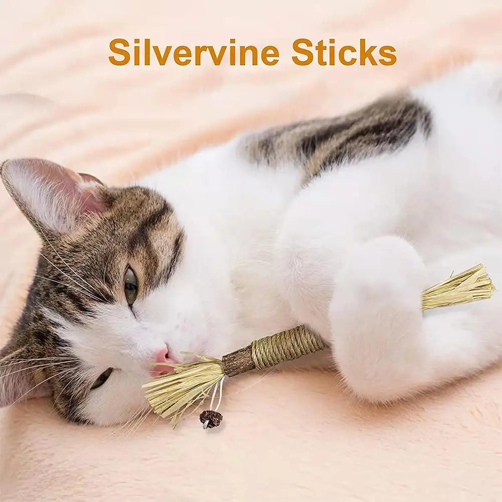 🐱 Natural Cat Chew Toy – Silvervine &amp; Catnip Dental Stick