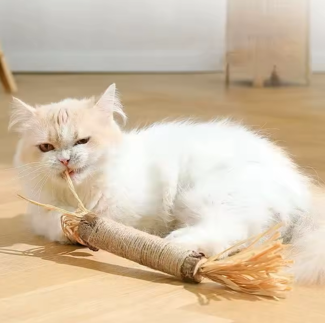 🐱 Natural Cat Chew Toy – Silvervine &amp; Catnip Dental Stick