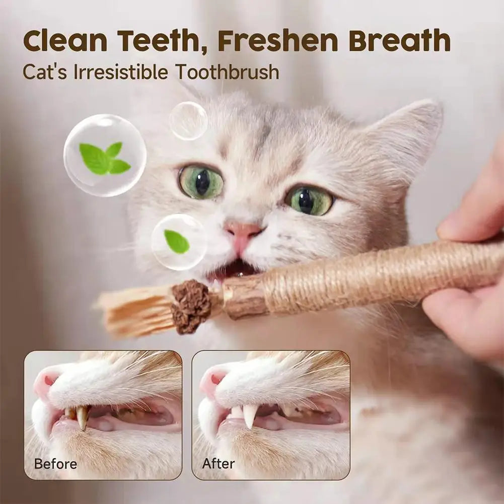 🐱 Natural Cat Chew Toy – Silvervine &amp; Catnip Dental Stick